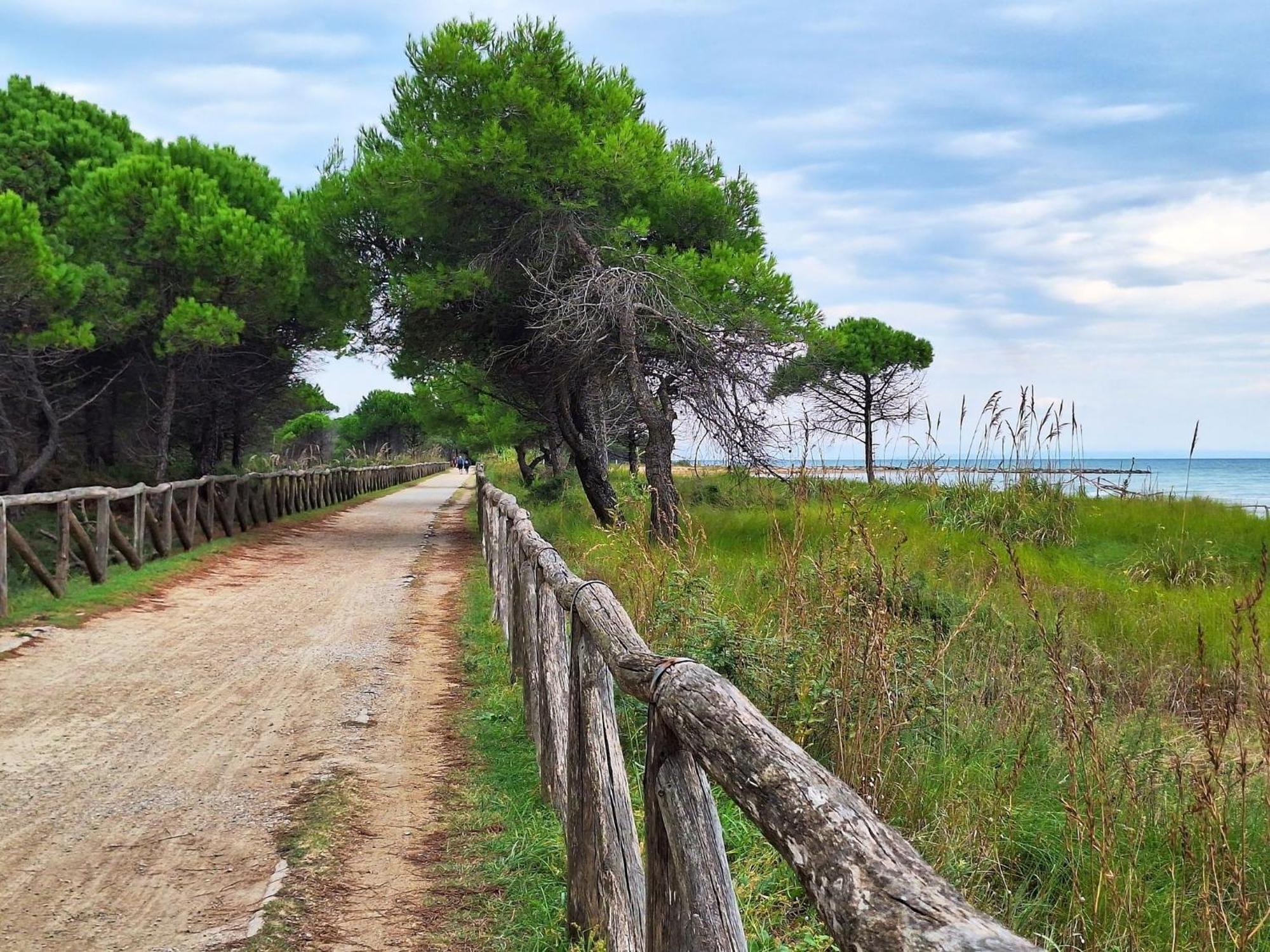 Modern Flat With Big Terrace In With Pool Apartment Bibione